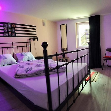 Appartamento Doi Iepuri Azuga Esterno foto