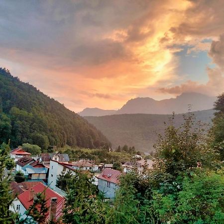 Appartamento Doi Iepuri Azuga Esterno foto